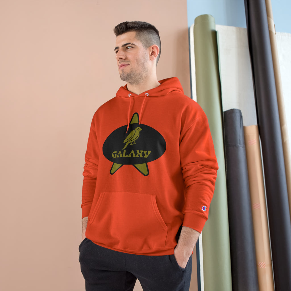 Champion Hoodie